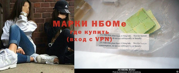 индика Алзамай