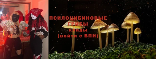 дурь Алексин
