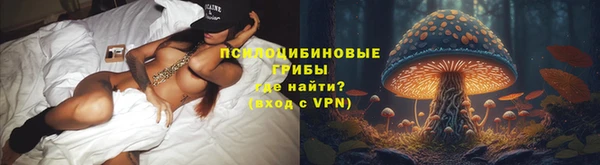 соль курить ск Алексеевка