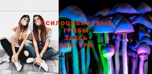 прущий лед Аркадак