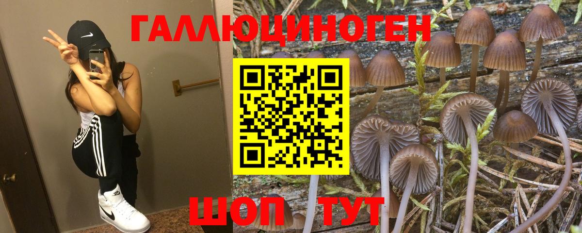 Галлюциногенные грибы Magic Shrooms Нефтекамск