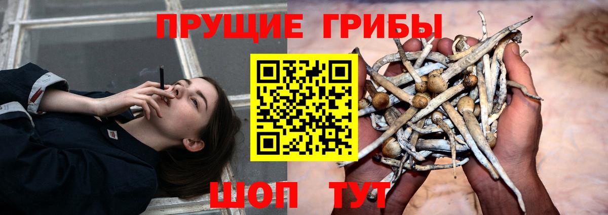 Нефтекамск  Галлюциногенные грибы Cubensis  Вход с VPN 